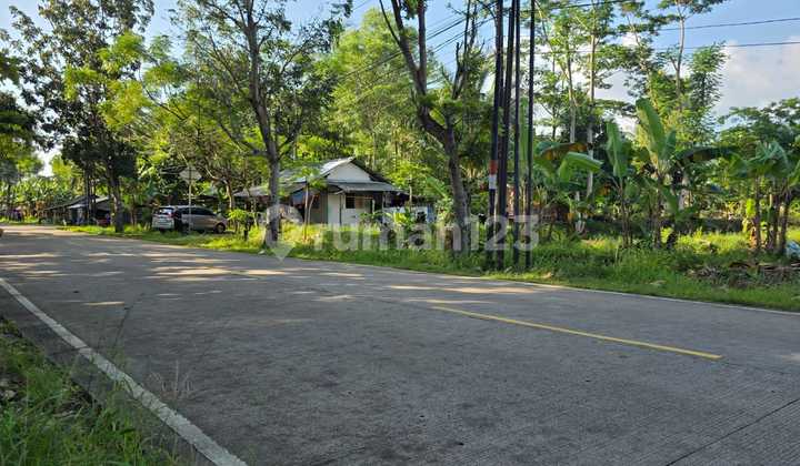 Rarely Available Prime Land Assets in Anyer Near the Beach Rarely Available Prime Land Assets in Anyer Near the Beach