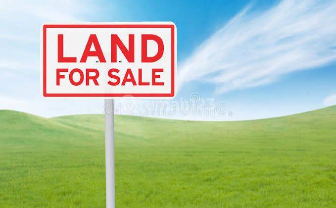 Dijual Tanah Kering di 0 Jalan Raya Puri Mojokerto  1