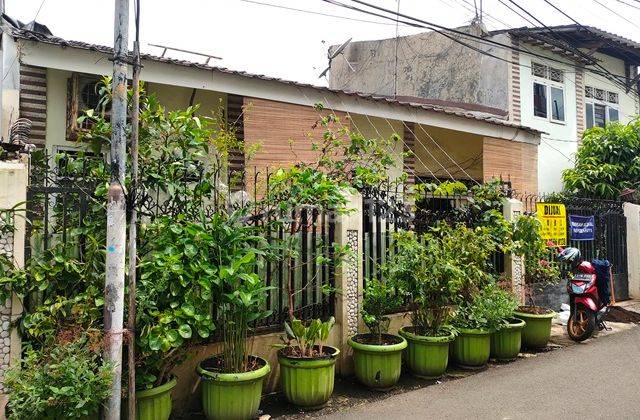 Rumah Murah Bgt di Jl Merpati, Menteng Dalam, Tebet, Jaksel 1