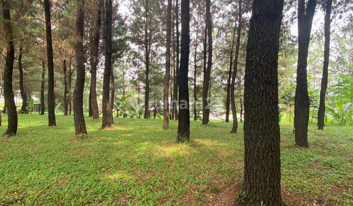 dijual kavling depan kavling taman pinus lokasi depan dekay komersial sentul 2