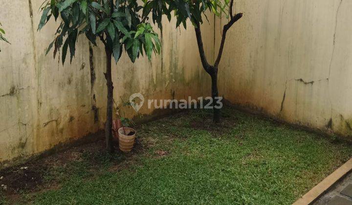 Disewakan Rumah Unfurnished Siap Huni Dekat Dengan Jungle 2