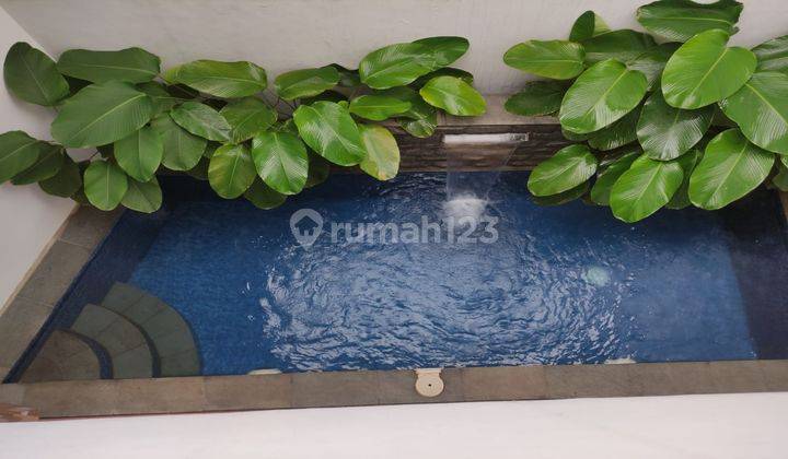 Disewakan Rumah Baru Dilengkapi Dengan Furnish Dan Kolam Renang  2