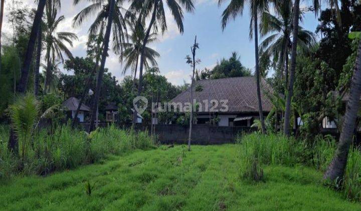 Disewakan Tanah Los Pantai, di Tejakula Buleleng Bali 1