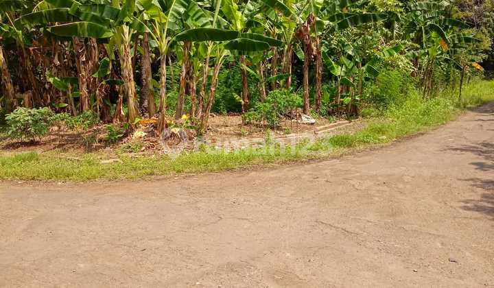 Dijual Tanah di Jalan Raya Dekat Citra 6, Kalideres, Jakarta Barat