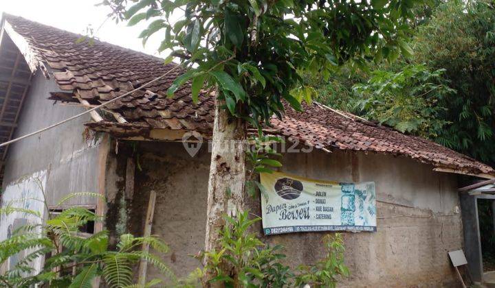 Rumah dan kebun di Pandeglang Banten 12