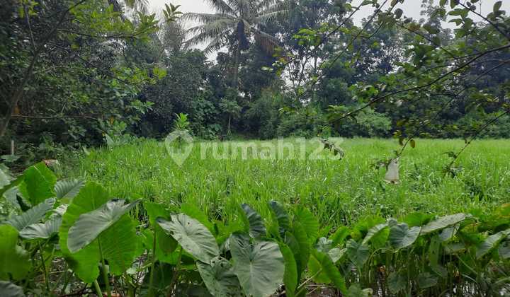 Dijual Kavling Strategis di Jalan Raya Legok, Tangerang 2