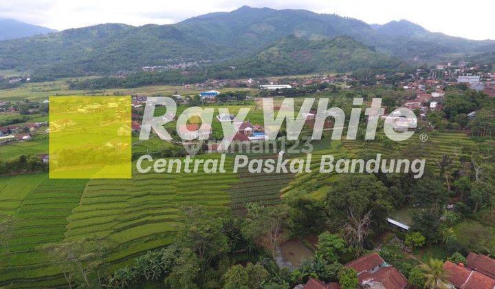 Tanah di Kebon Suuk Cicalengka Bandung 1