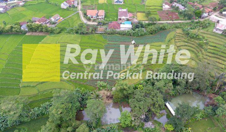 Tanah di Kebon Suuk Cicalengka Bandung 2
