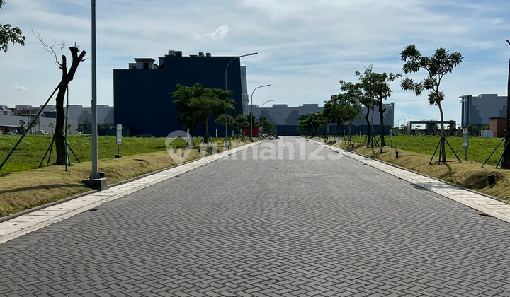 Lanjut Cicilan - Kavling Pik2 Boulevard (800M2) 20X40 5