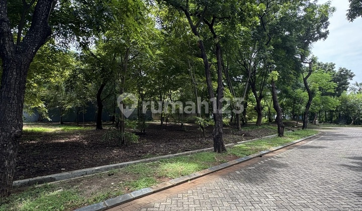 foto lainnya kavling pik phinisi permai 544m2