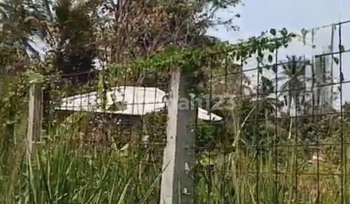 Kavling Murah Masih Nego Surat SHM di Balaraja Tangerang Kavling Murah Masih Nego Surat SHM di Balaraja Tangerang