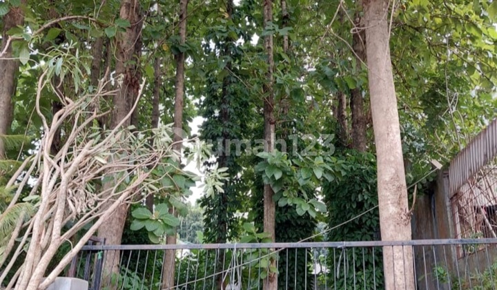 Tanah Murah Row Jalan 3 Mobil Sudah Pagar Keliling Di Kav. Dki Meruya Kembangan Jakarta Barat Tanah Murah Row Jalan 3 Mobil Sudah Pagar Keliling Di Kav. Dki Meruya Kembangan Jakarta Barat