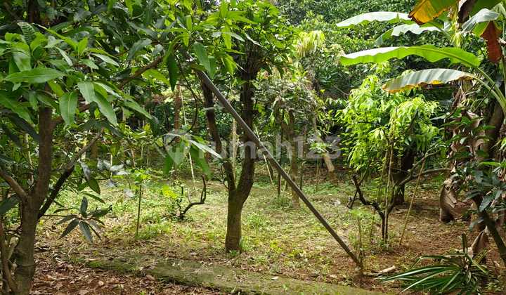 Dijual Kavling Tanah 342m2 SHM di BSD Griya Loka, Tangerang - Aniefb Dijual Kavling Tanah 342m2 SHM di BSD Griya Loka, Tangerang - Aniefb