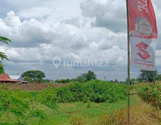 RUMAH ETNIK JOGLO MODERN ESTETIK STRATEGIS PRAMBANAN  BISA KPR 2