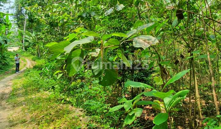 Rumah 185jt Yogyakarta Free Bphtb Siap Huni Dlm 3 Bln Akad Segera 4