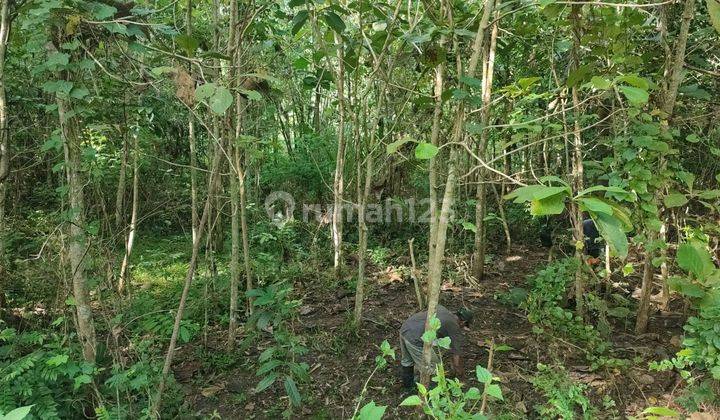 Rumah 185jt Yogyakarta Free Bphtb Siap Huni Dlm 3 Bln Akad Segera 6