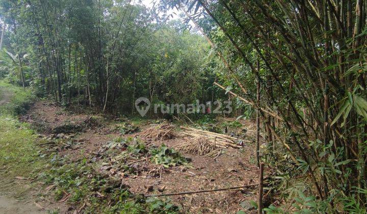 Hunian Murah Termurah di Yogyakarta Dkt Jln Akses Bandara Yia 6