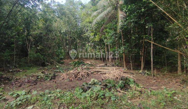 Keluarga Baru Rumah Baru Super Murah Banget Lokasi Asri di Jogja 7