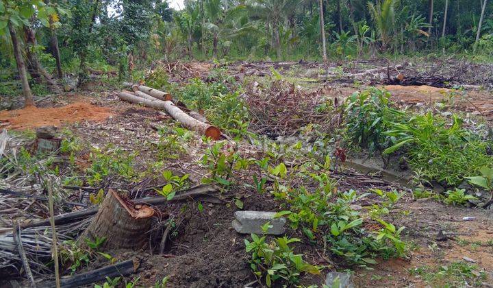 RUMAH BAGUS MODERN MURAH DEKAT BANDARA YIA JOGJA SIAP BANGUN 2