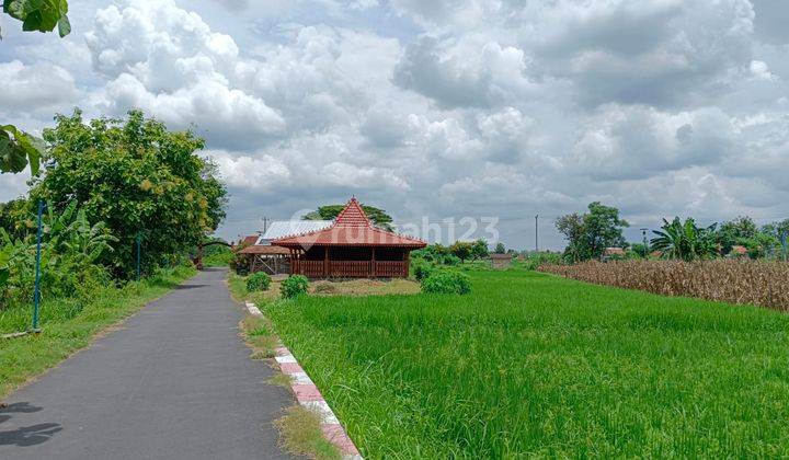 RUMAH ETNIK JOGLO MODERN 2 MENIT DARI STASIUN SROWOT 2