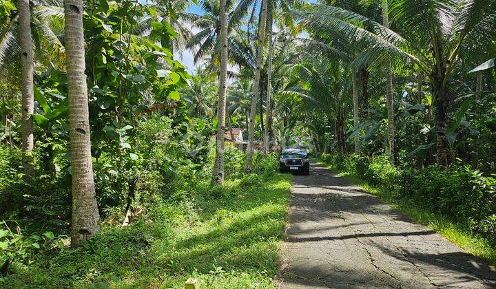 RUMAH MODERN KEKINIAN AKSES MUDAH DKT BANDARA YIA JOGJA TERMURAH 2