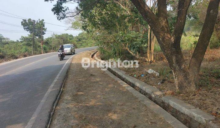 CEPAT TANAH DI NAMENG - RANGKASBITUNG 1