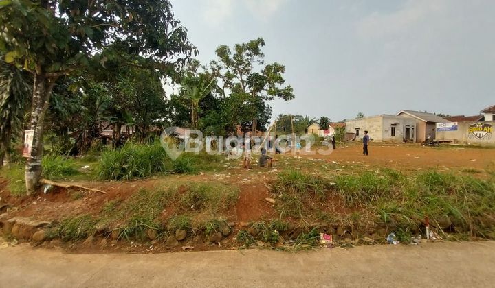 Katapang Andir Bogor