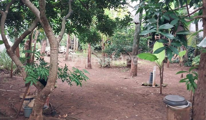 For Sale: Ready-to-Build Land on Jl. Puter IX, Jurang Manggu Barat, Pondok Aren, South Tangerang City, Banten, Indonesia, 15223, Bintaro For Sale: Ready-to-Build Land on Jl. Puter IX, Jurang Manggu Barat, Pondok Aren, South Tangerang City, Banten, Indonesia, 15223, Bintaro