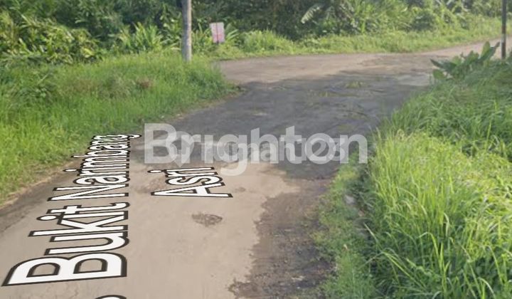 BUKIT NARIMBANG LEBAK BUKIT NARIMBANG LEBAK