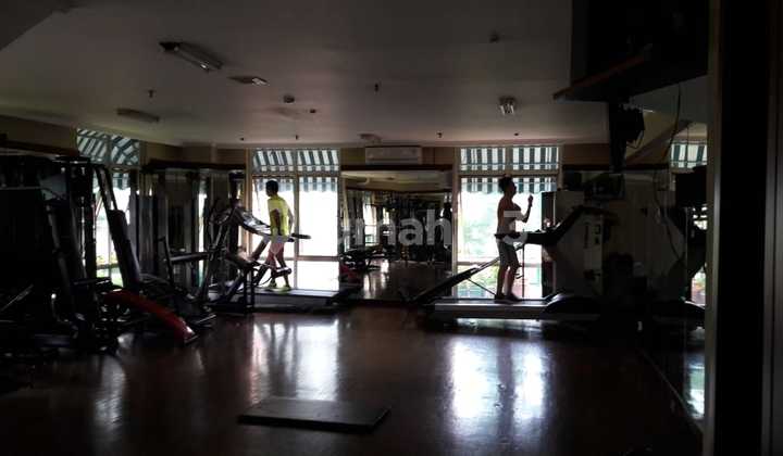Disewakan Apartemen Roxy Mas 4
