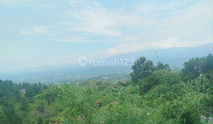 Tanah Best View Murah Di Cijeruk Bogor Cocok Untuk Villa 1