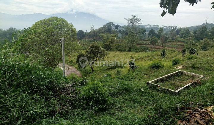 Tanah Siap Bangun View Bagus Di Cijeruk Bogor Tanah Rata 2