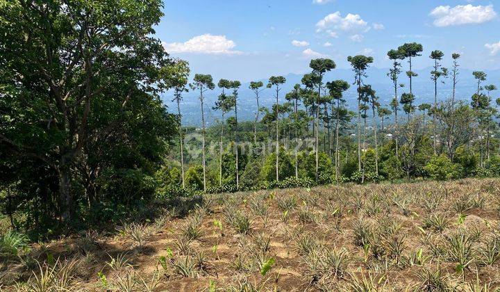 Tanah Best View Di Tajur Halang Dekat Gajog Hill Camp Area 2