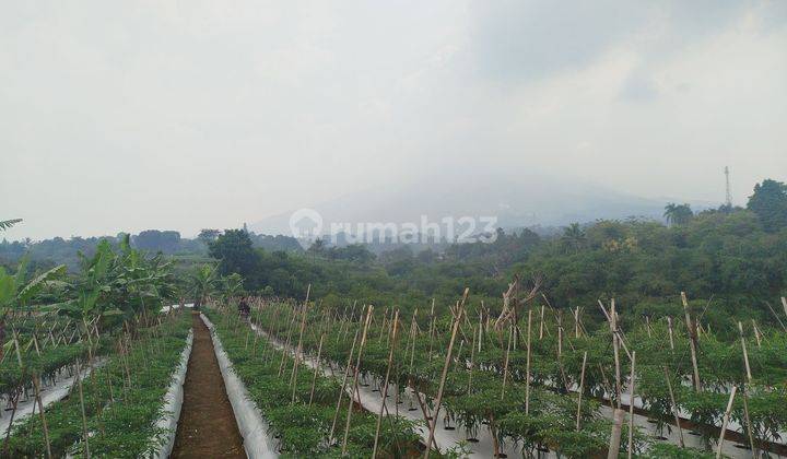 Tanah Best View Cocok Untuk Kebun Dan Vila Di Cijeruk Bogor  1