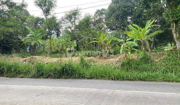 Tanah Di Pinggir Jalan Raya Cihideung Cijeruk Bogor  1