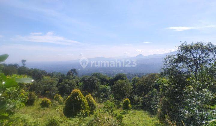 Tanah best view dijual cijeruk bogor cocok untuk villa