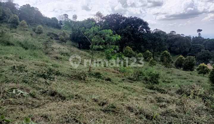 Tanah best view dijual cijeruk bogor cocok untuk villa