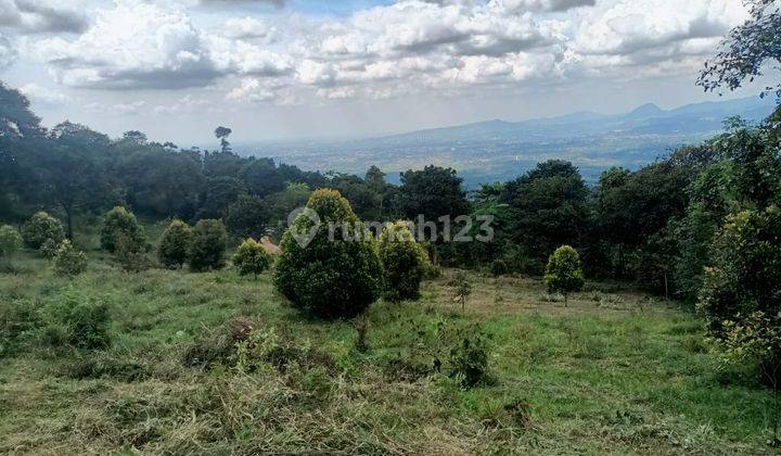 Tanah best view dijual cijeruk bogor cocok untuk villa