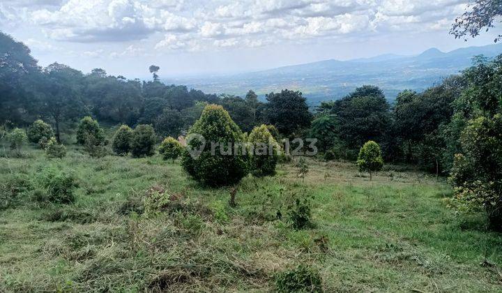 Tanah best view dijual cijeruk bogor cocok untuk villa