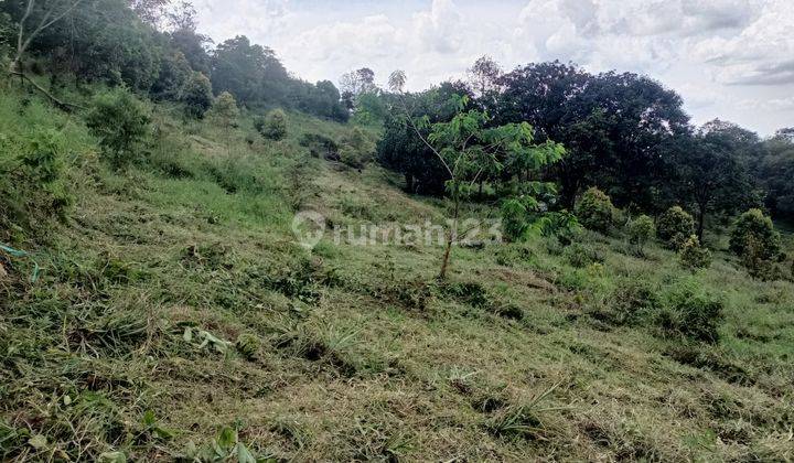 Tanah best view dijual cijeruk bogor cocok untuk villa