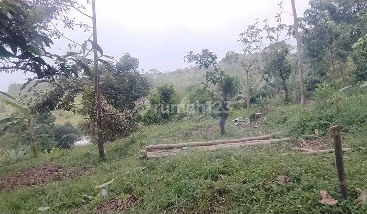 Tanah di jual best view di cijeruk cocok untuk villa  1