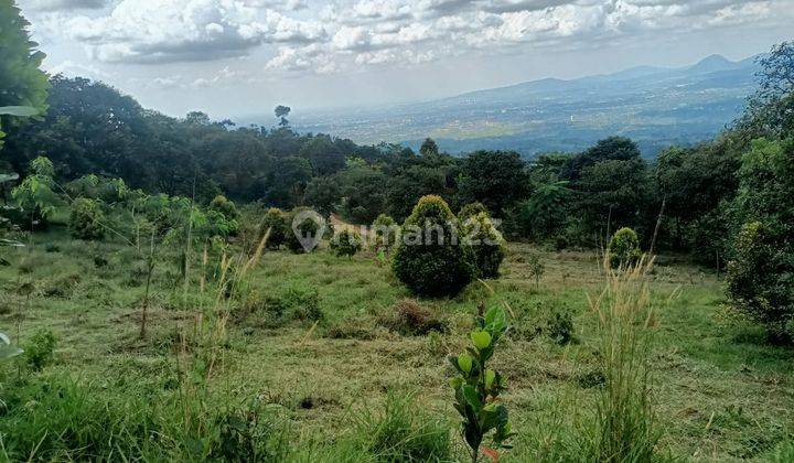Tanah di jual best view di cijeruk cocok untuk villa  7