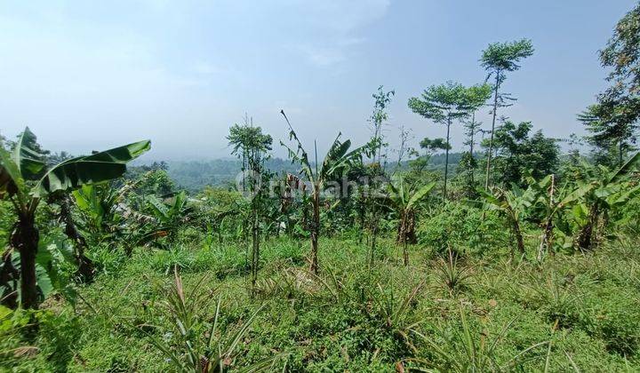 Tanah di jual dekat vila gajog hill cijeruk bogor best view 1