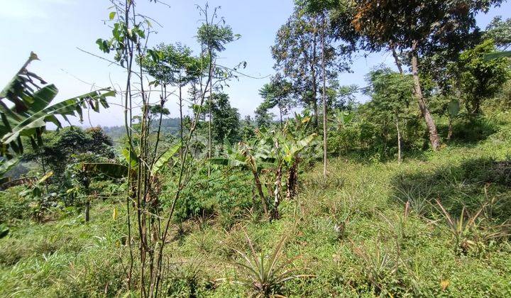 Tanah di jual dekat vila gajog hill cijeruk bogor best view 3