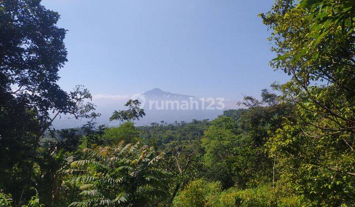 Tanah best view dekat villa boja cijeruk bogor  1