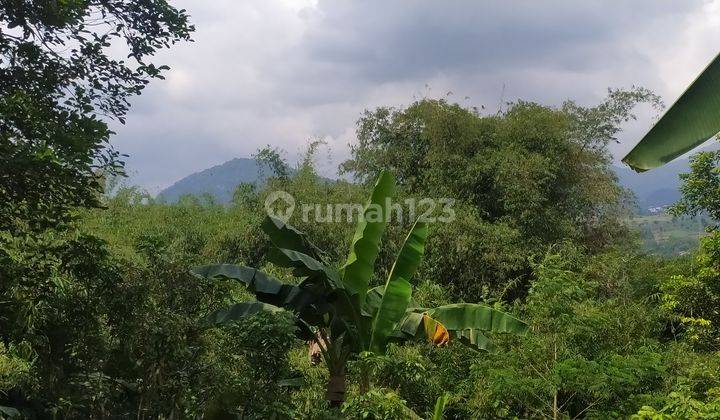 Tanah view gunung di cijayanti dekat Sentul city dan rainbow 2
