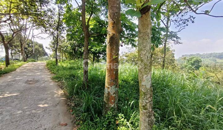 Tanah best view gunung murah di tajur halang cijeruk bogor 2