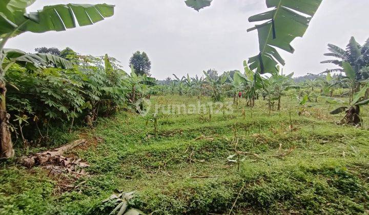 Tanah best view Cijeruk bogor pemandangan gunung 1