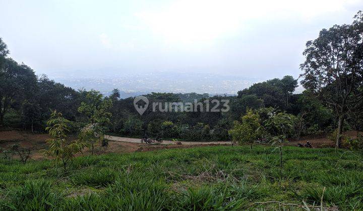 Tanah best view murah di Cijeruk bogor tanah murah 1