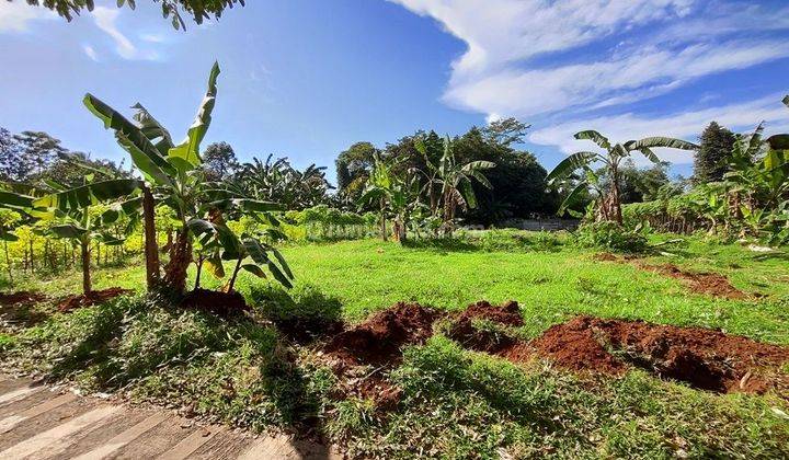 Tanah best view cijayanti babakan madang bogor dekat sentul city 1